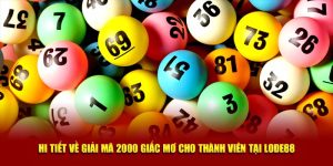 Giải Mã 2000 Giấc Mơ: Khám Phá Ý Nghĩa Sau Các Chiêm Bao