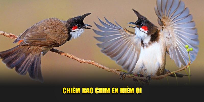 Chiêm bao chim én điềm gì