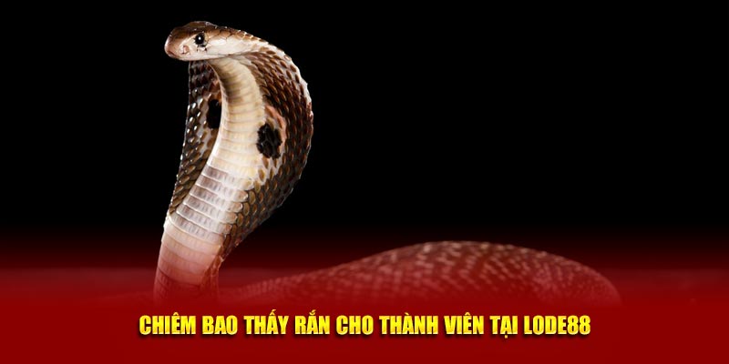 Chiêm bao thấy rắn cho thành viên tại Lode88