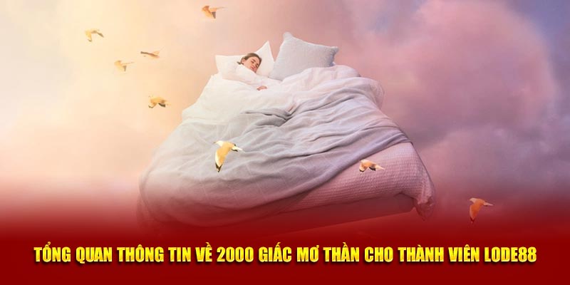 Tổng quan thông tin về 2000 giấc mơ thần cho thành viên Lode88